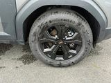 Miniature DACIA DUSTER