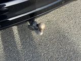 Miniature FORD KUGA
