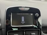 Miniature RENAULT CLIO IV