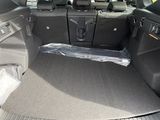 Miniature DACIA BIGSTER GPL