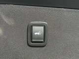Miniature DACIA BIGSTER GPL