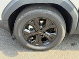 Miniature DACIA DUSTER