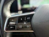 Miniature RENAULT ESPACE VI