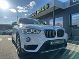 Miniature BMW X1 F48