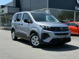 Miniature PEUGEOT RIFTER