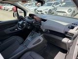 Miniature PEUGEOT RIFTER